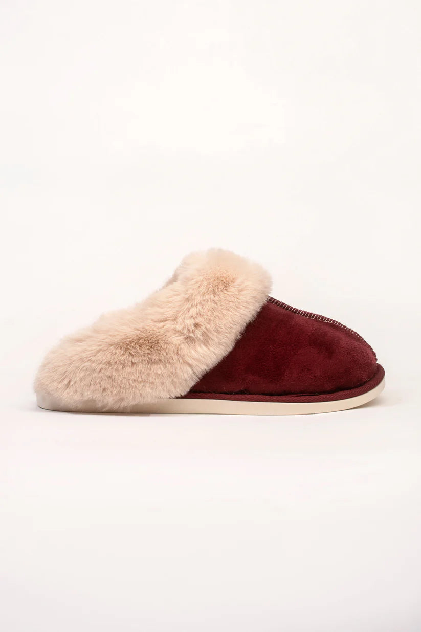 Burgundy slippers