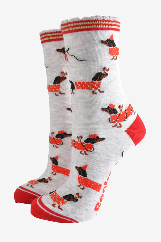 Christmas dachshund socks